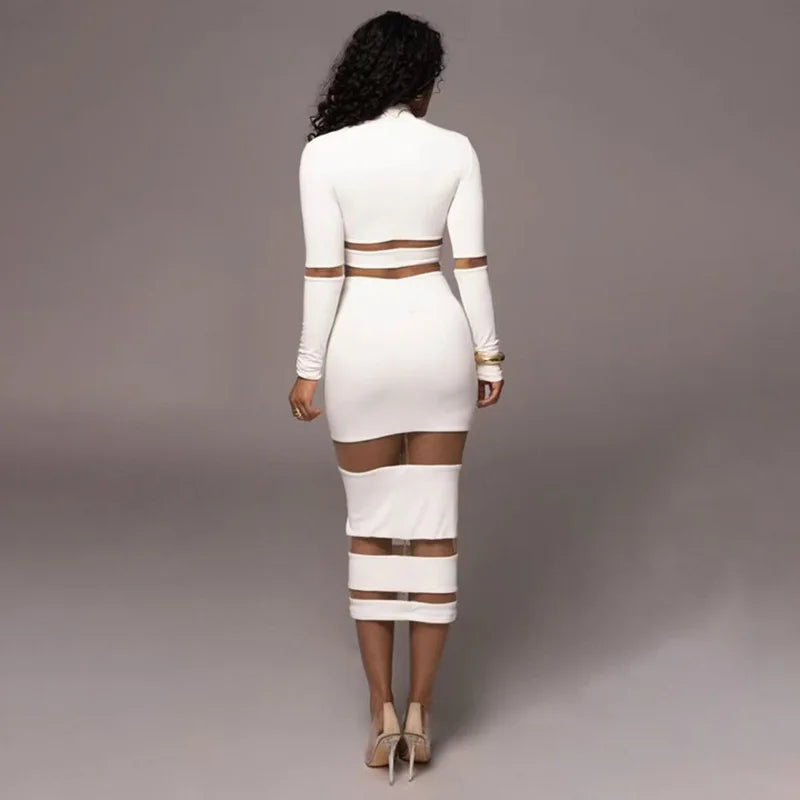 Patchwork Bodycon Sexy Midi Dress For Women 2023 Autumn Winter New Turtleneck Long Sleeve Club Party Sexy Dress Elegant - MyEmpired
