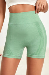 Wide Waistband Slim Fit Active Shorts - MyEmpired